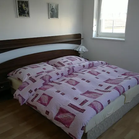 Casa de hóspedes Patricie 3*