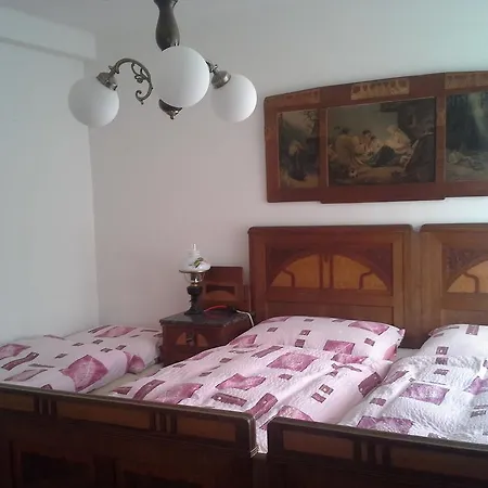 Patricie 3*