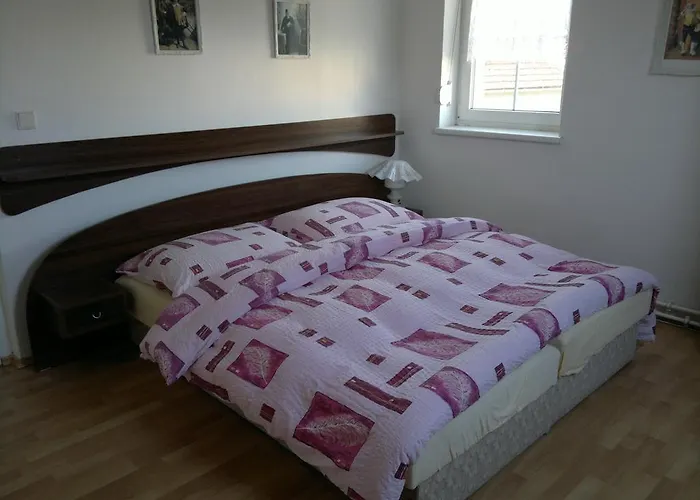 Πανσιόν Patricie 3*